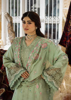 Another front image of beautiful PRIMROSE FROM KAHF KARANDI 2025.