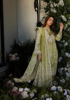 Beautifully designed Embroidered Cotton Net Patched Dupatta.